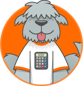 RubberRoofs friendly helper, Roofus